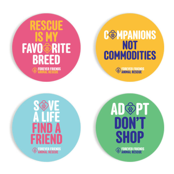 Animal Rescue Colourful Coasters Thumbnail